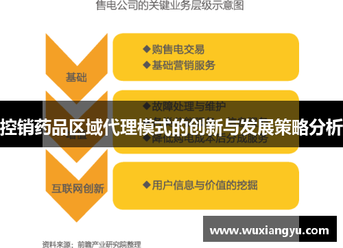 控销药品区域代理模式的创新与发展策略分析 控销药品区域代理模式的创新与发展策略分析