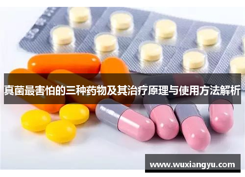 真菌最害怕的三种药物及其治疗原理与使用方法解析