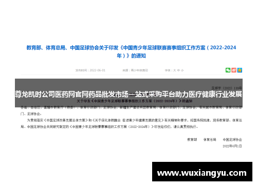 尊龙凯时公司医药网官网药品批发市场一站式采购平台助力医疗健康行业发展 尊龙凯时公司医药网官网药品批发市场一站式采购平台助力医疗健康行业发展