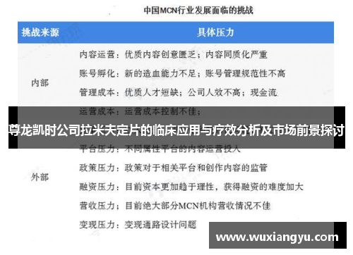 尊龙凯时公司拉米夫定片的临床应用与疗效分析及市场前景探讨