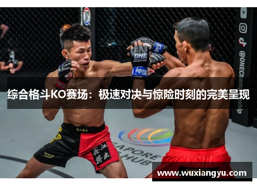 综合格斗KO赛场：极速对决与惊险时刻的完美呈现